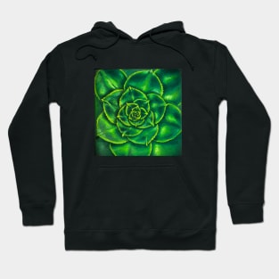 Echeveria Green Prince Hoodie